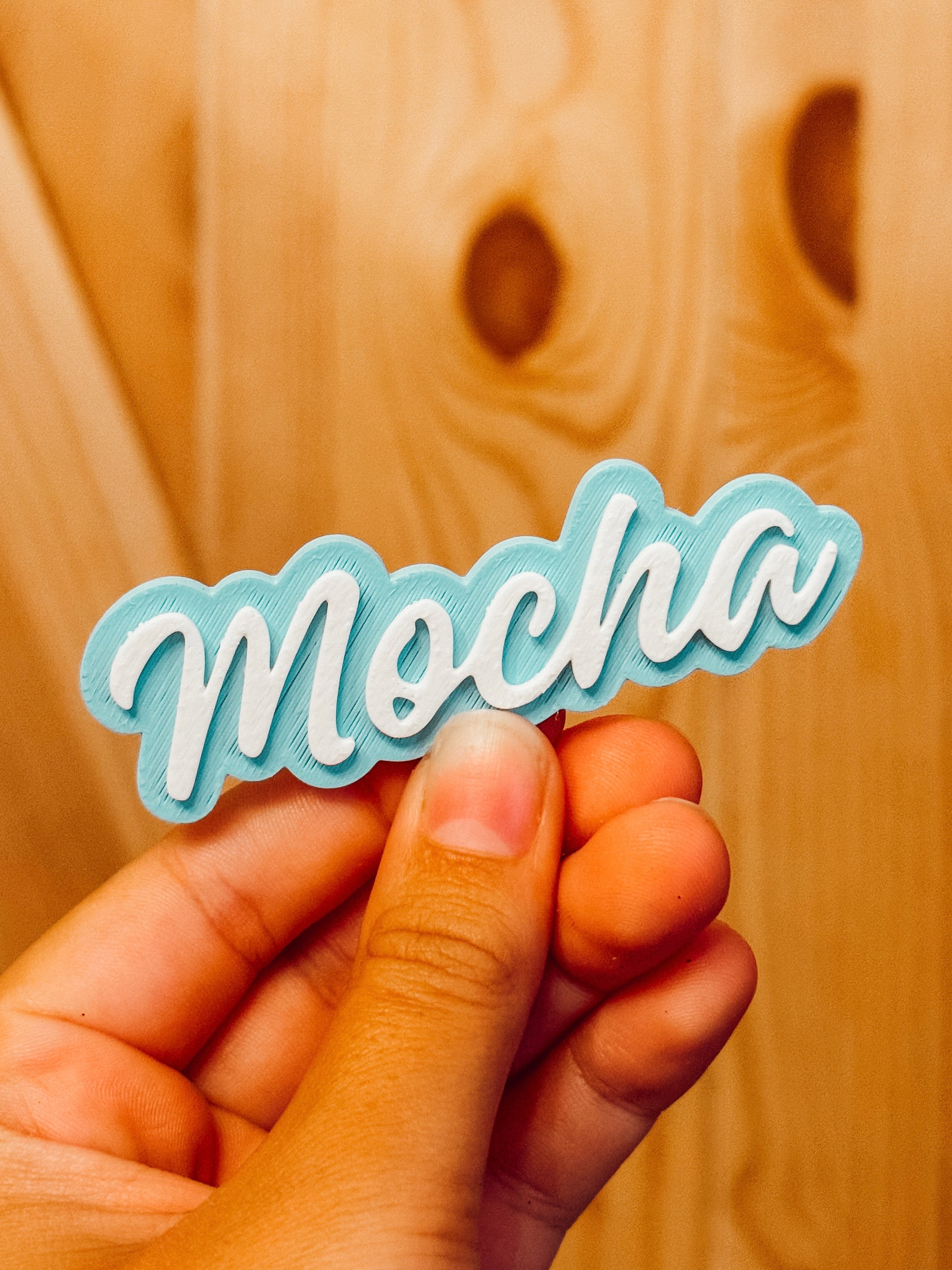 Custom Enclosure Name Tag (Small)