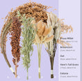 Load image into Gallery viewer, Ultimate Spray Bundle (3-pack)