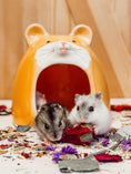 Load image into Gallery viewer, Ceramic Hamster Hideaway