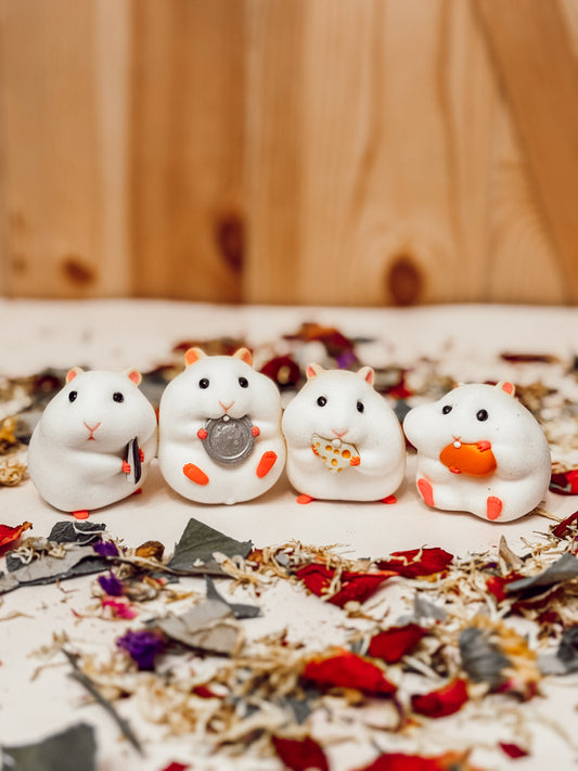 Ultimate Hamster Car-Accessory Collection