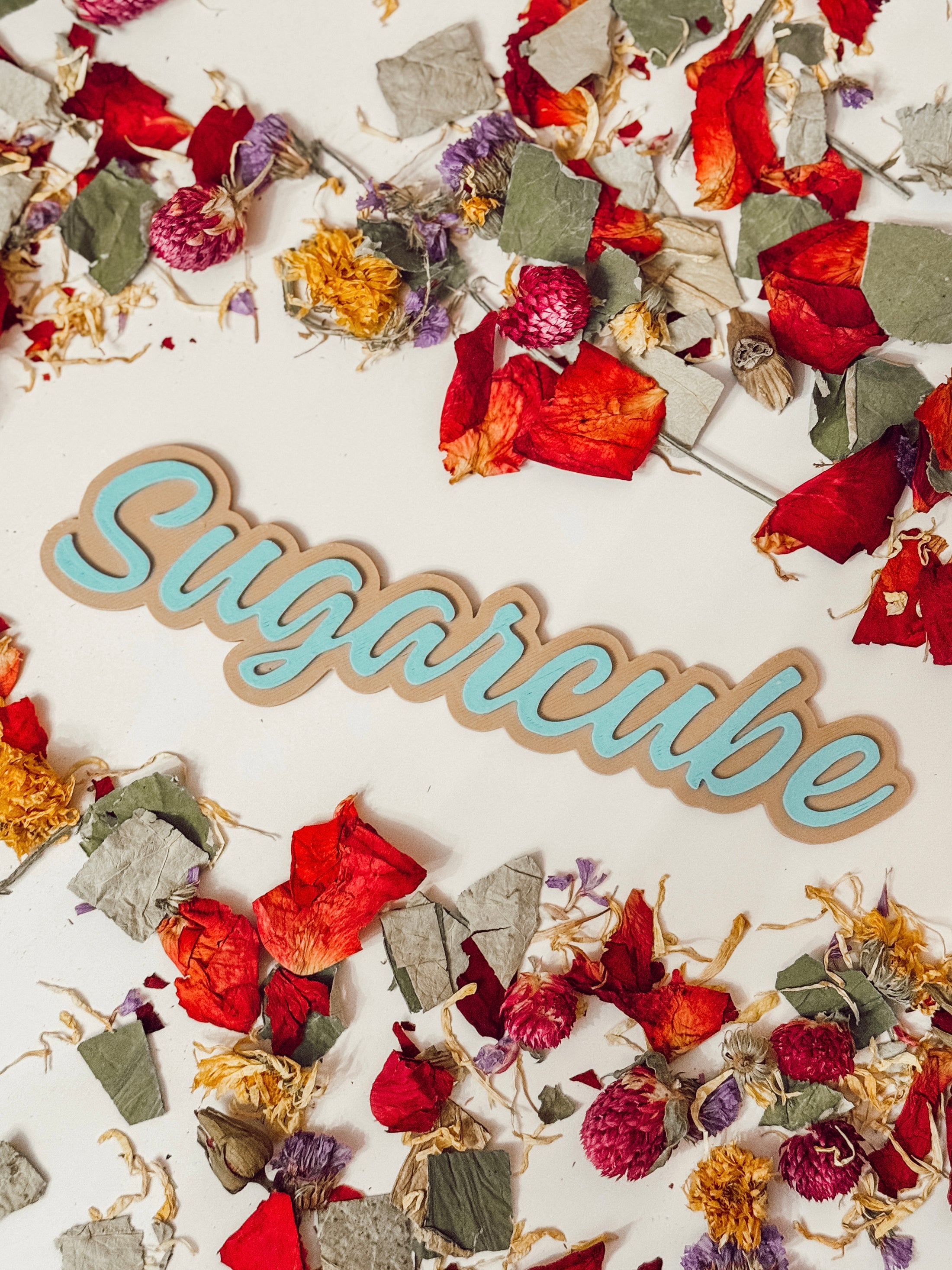 Custom Enclosure Name Tag (Medium)