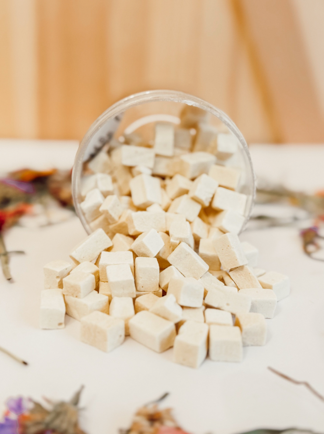 Freeze Dried Tofu (vegan)