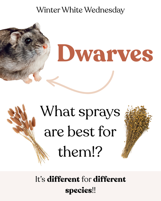 Dwarves: What sprays are the best for them!?