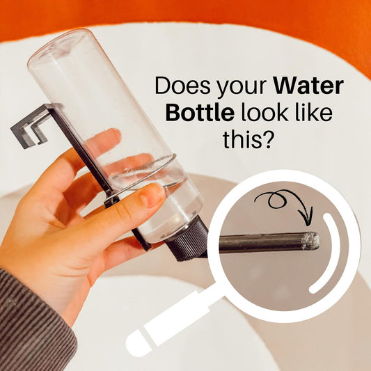 Calcium Build Up on Hamster Water Bottles