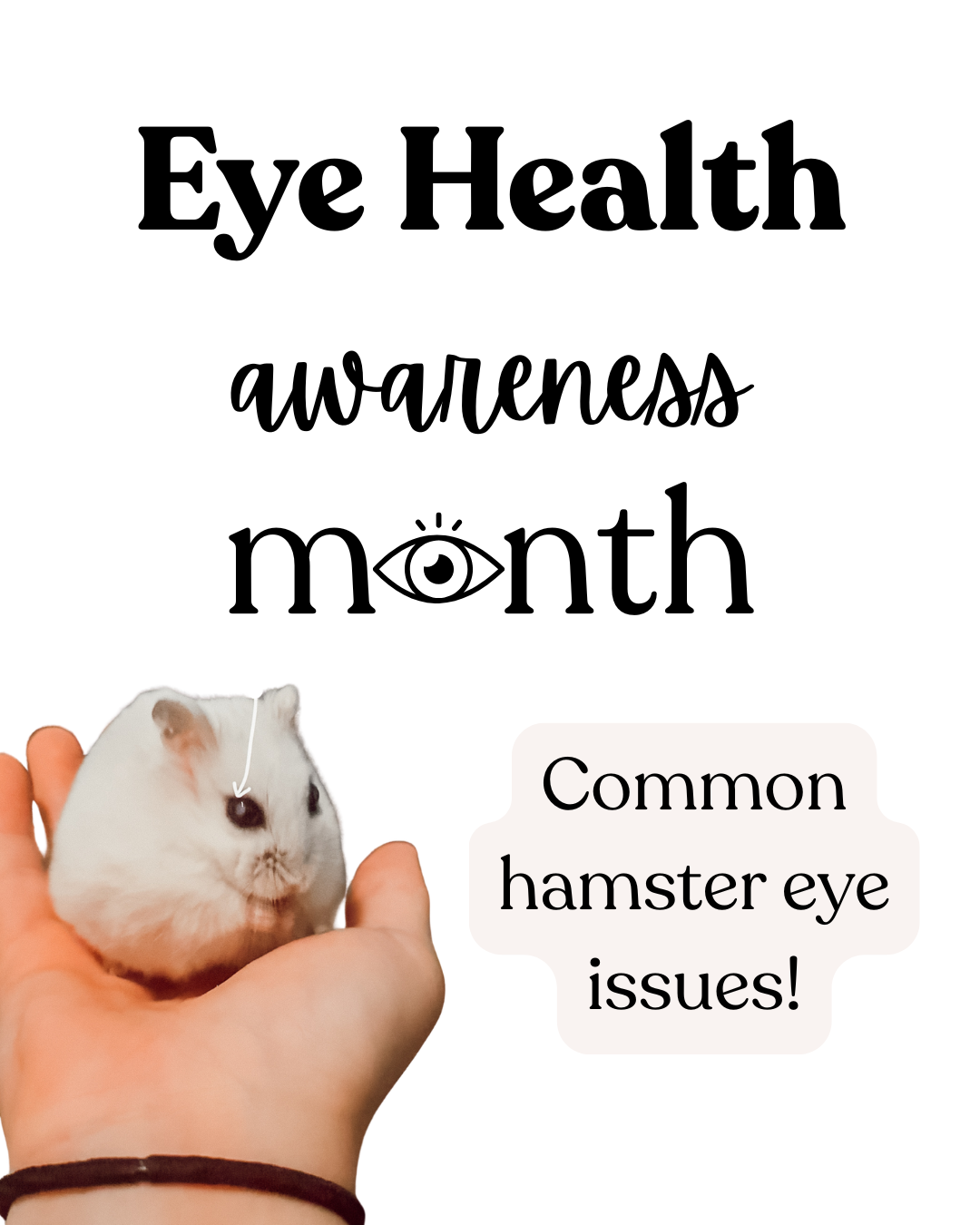 Eye Health Awareness Month - Common hamster eye issues