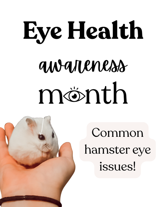 Eye Health Awareness Month - Common hamster eye issues