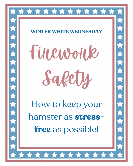 How To Keep Your Hamster Stress Free for Loud Sounds
