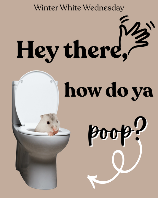 Hey there, how do ya poop?