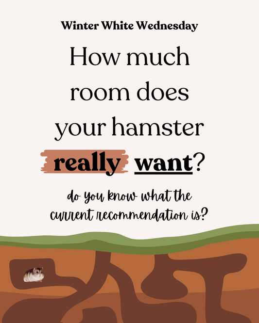 How much room does your hamster really want?