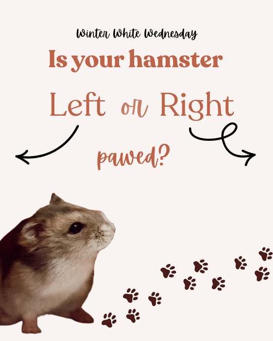 Is your hamster Left or Right pawed?