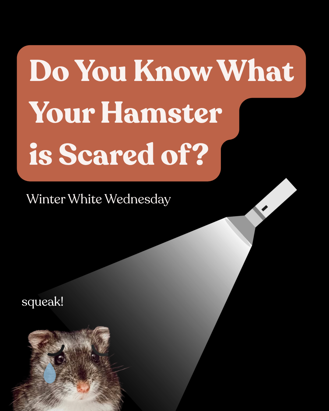Do you know what your hamster is scared of?