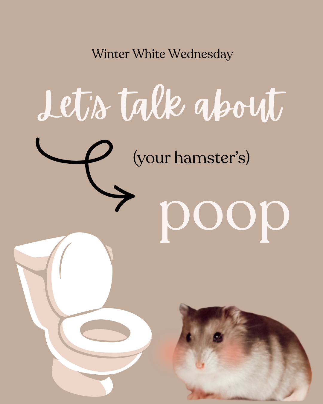 Lets talk about (your hamster's) poop
