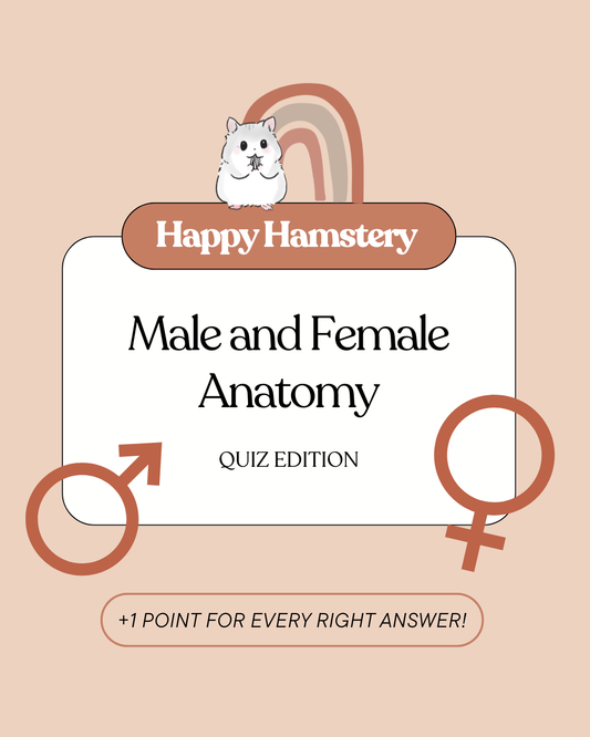 Male and Female Anatomy