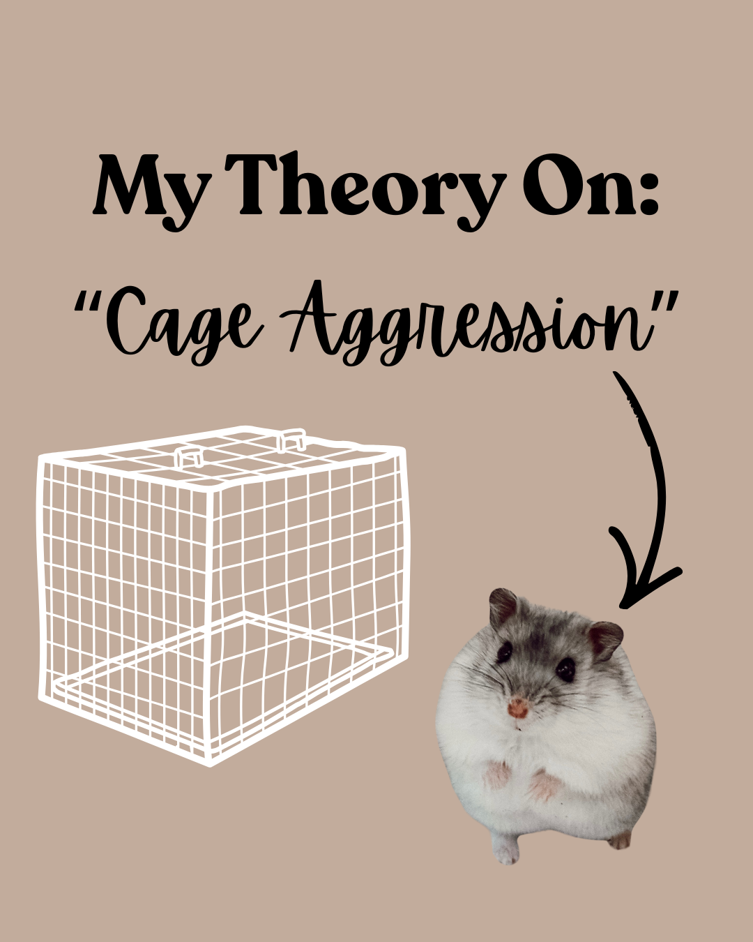 My Theory on: "Cage Aggression"