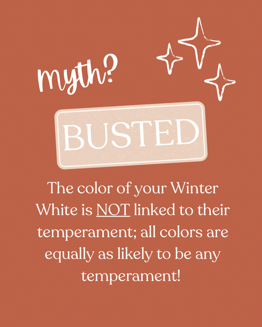 Myth Busted: Color linked to temperament