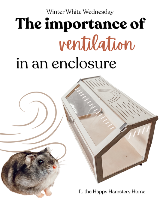 The importance of ventilation in an enclosure