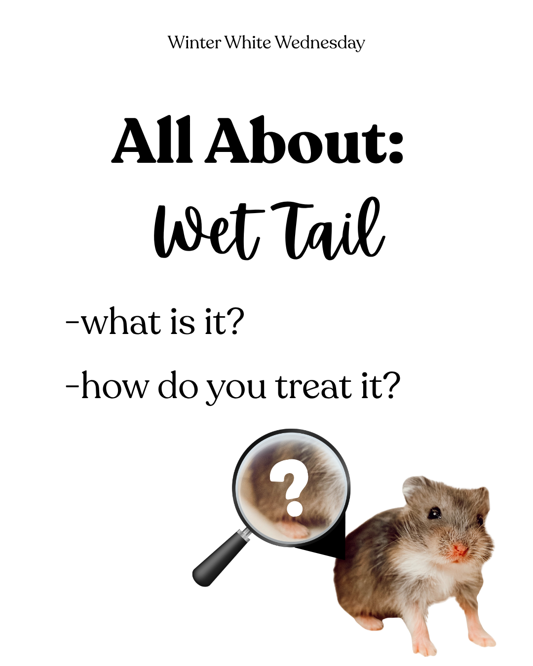 All About: Wet Tail