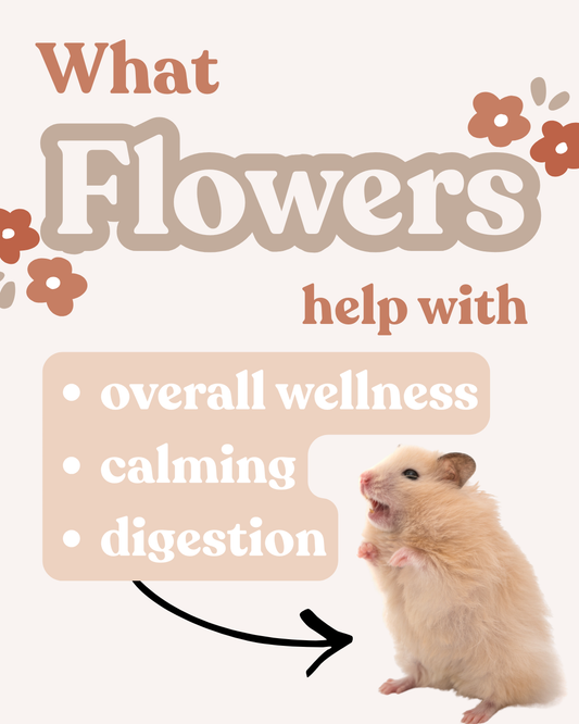 What Flowers help with...