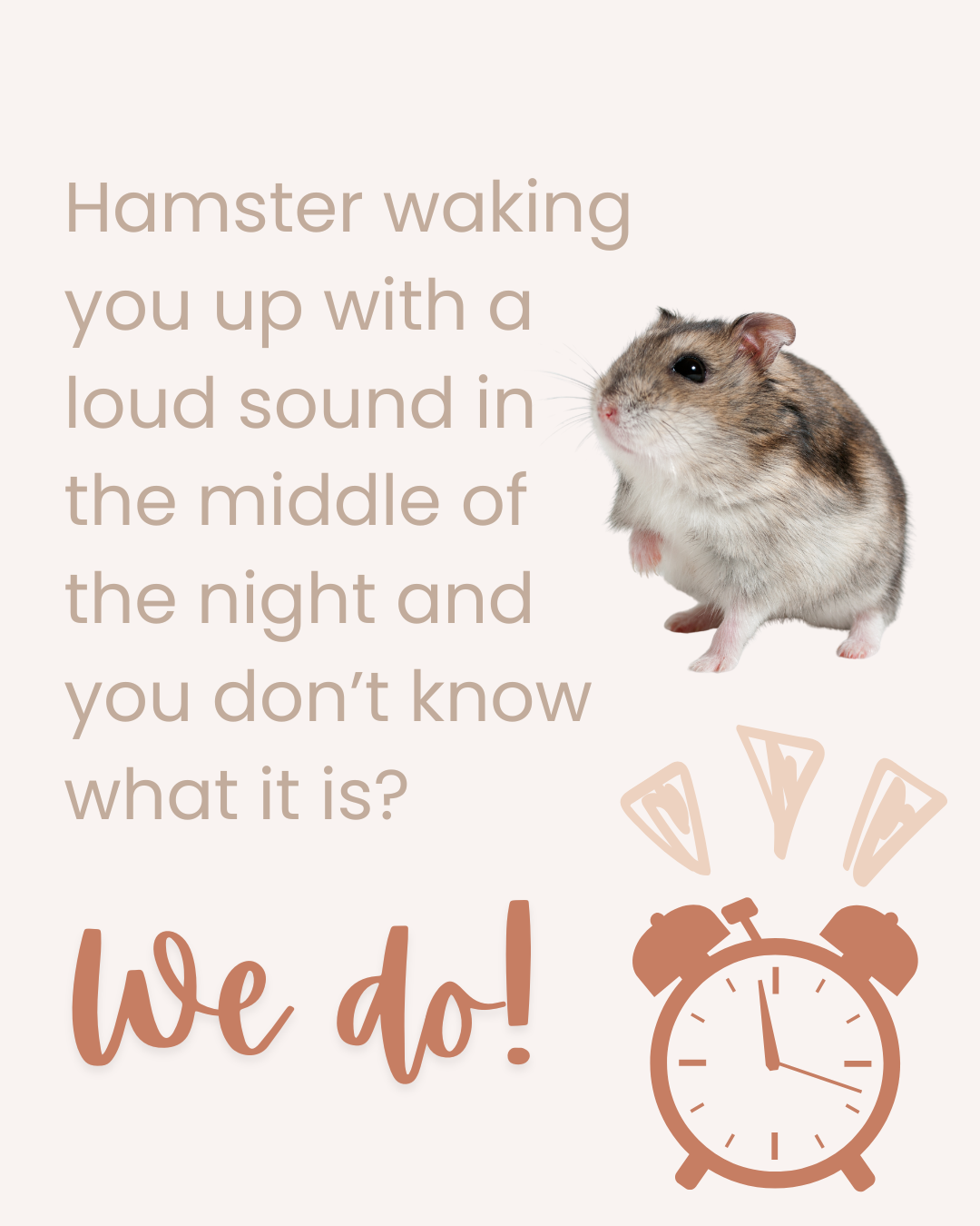 Loud noise at night? Could be your hamsters water bottle