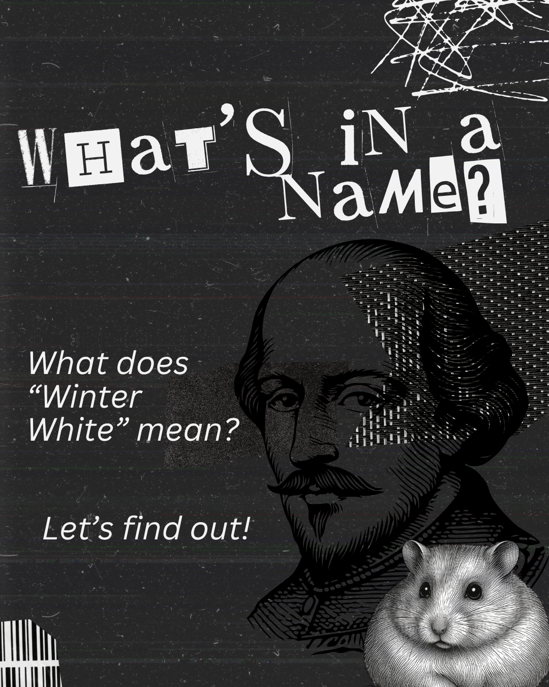 What does "Winter White" mean?