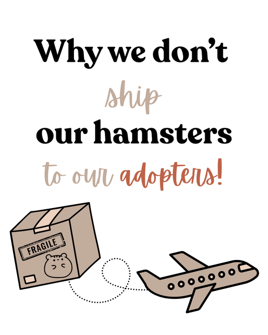 Why we don't ship our hamsters to adopters!