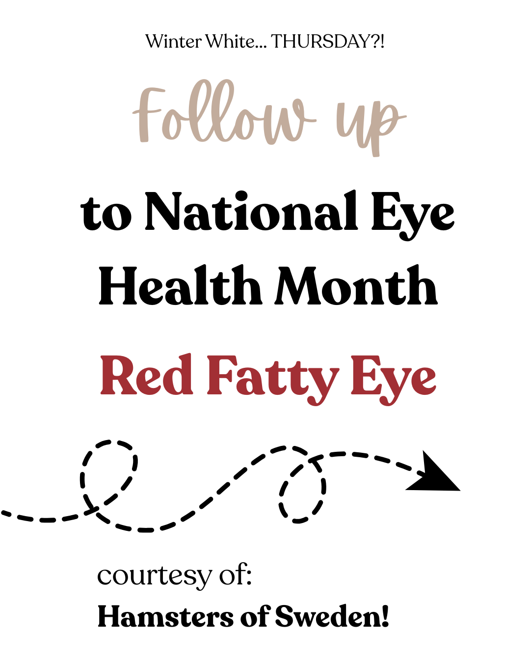 Follow up to National Eye Health Month - Red Fatty Eye - courtesy of Hamsters of Sweden