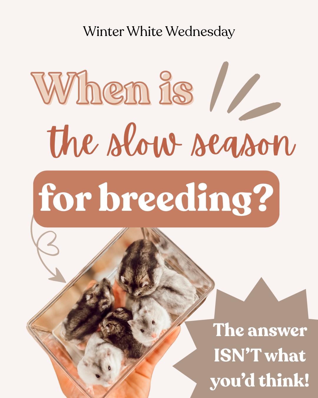 When is the slow season for breeding?