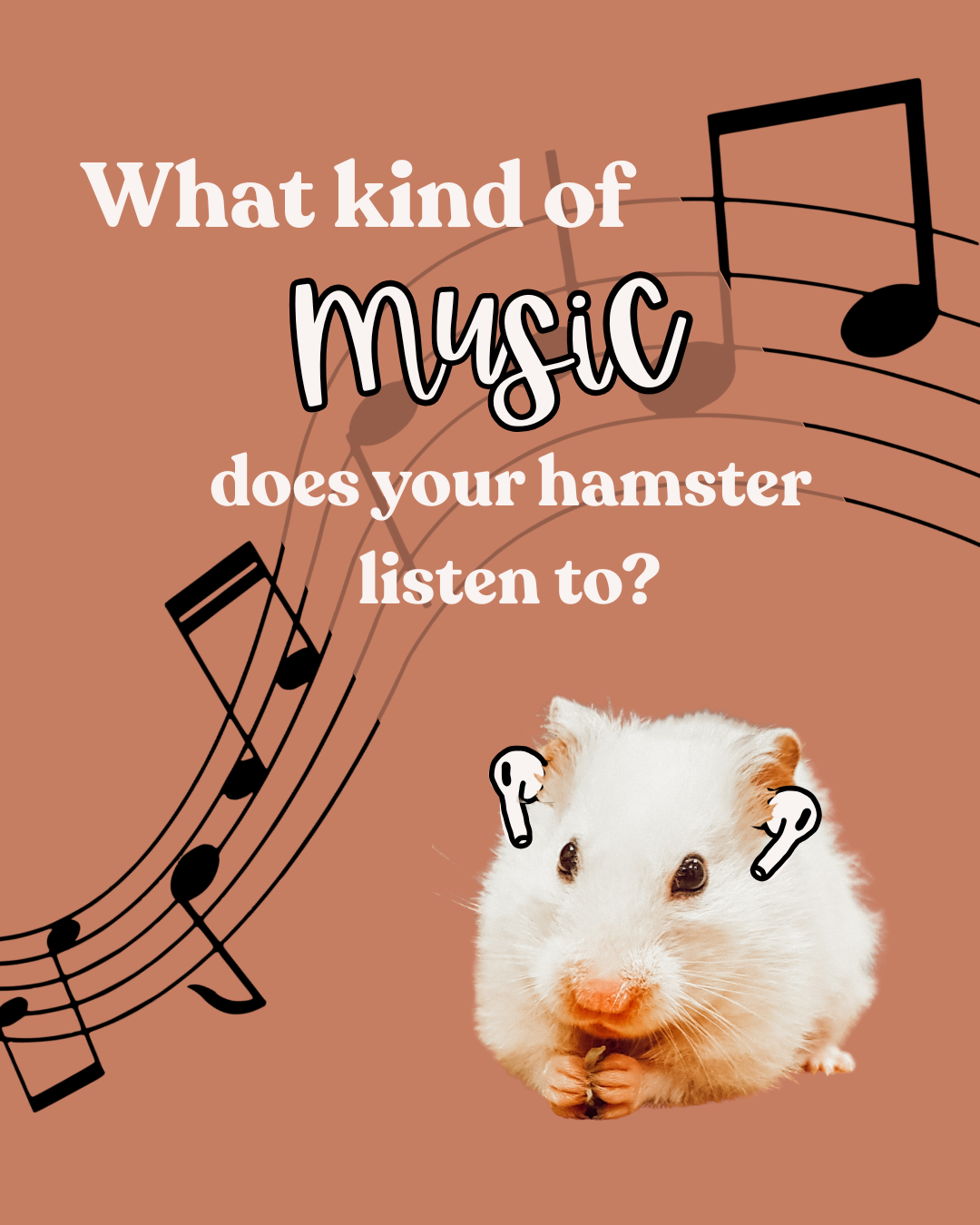 What kind of music does your hamster listen to?