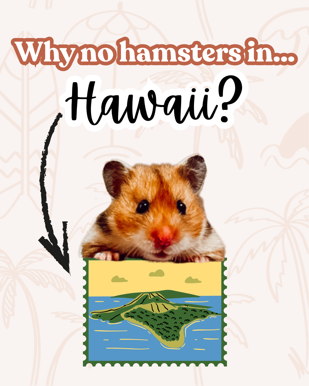 Why no hamsters in... Hawaii?