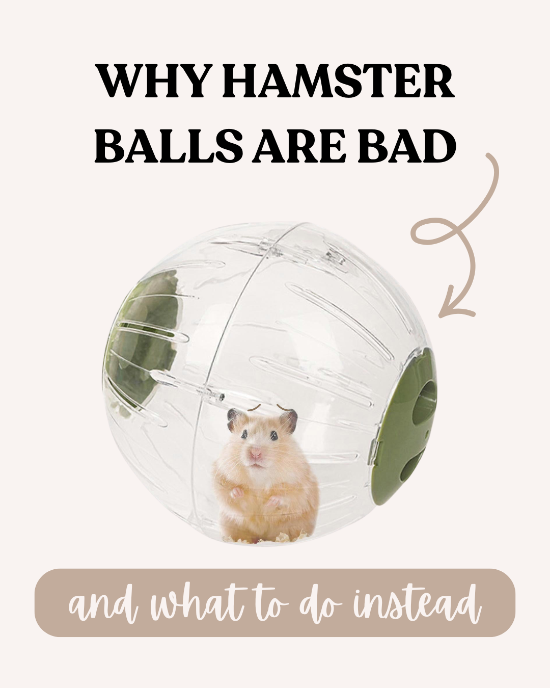 Why hamster balls are bad and what to do instead