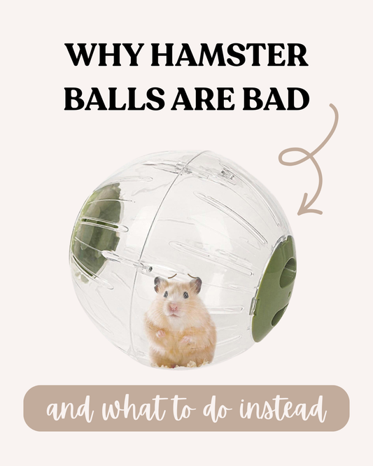 Why hamster balls are bad and what to do instead