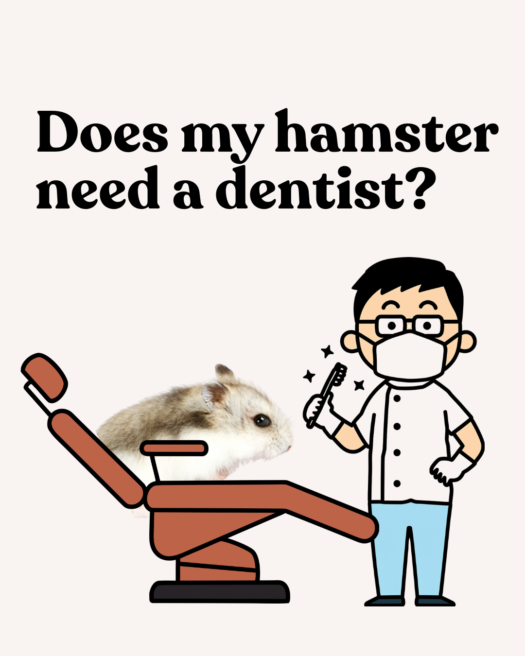Does my hamster need a dentist?