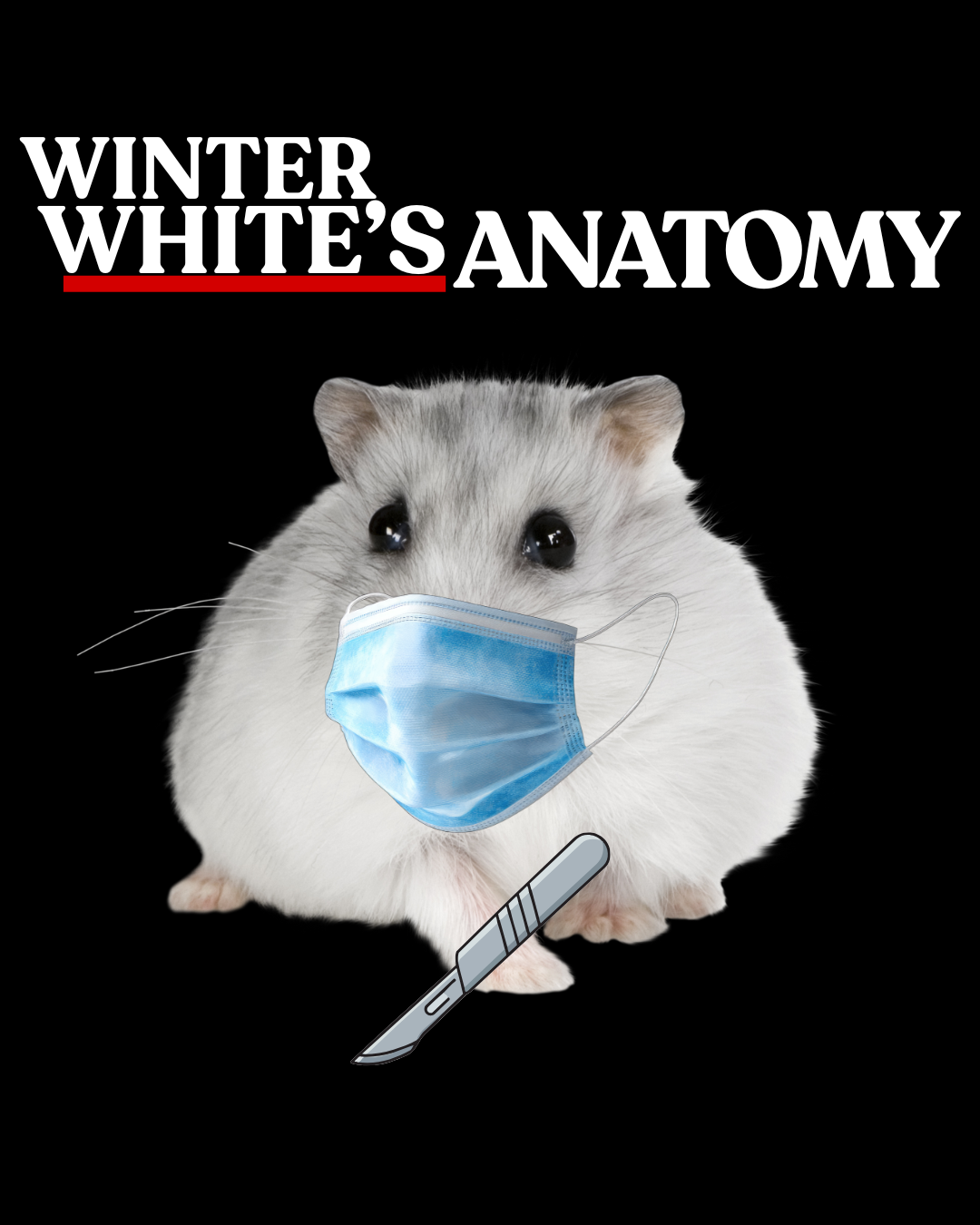 Hamsters heartbeat