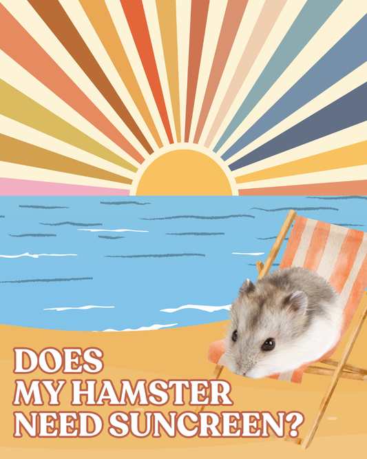 Does my hamster need sunscreen?