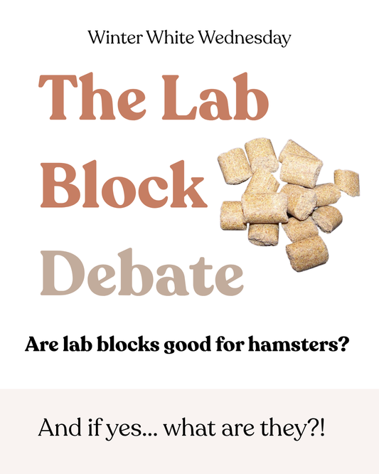 The Lab Block Debate