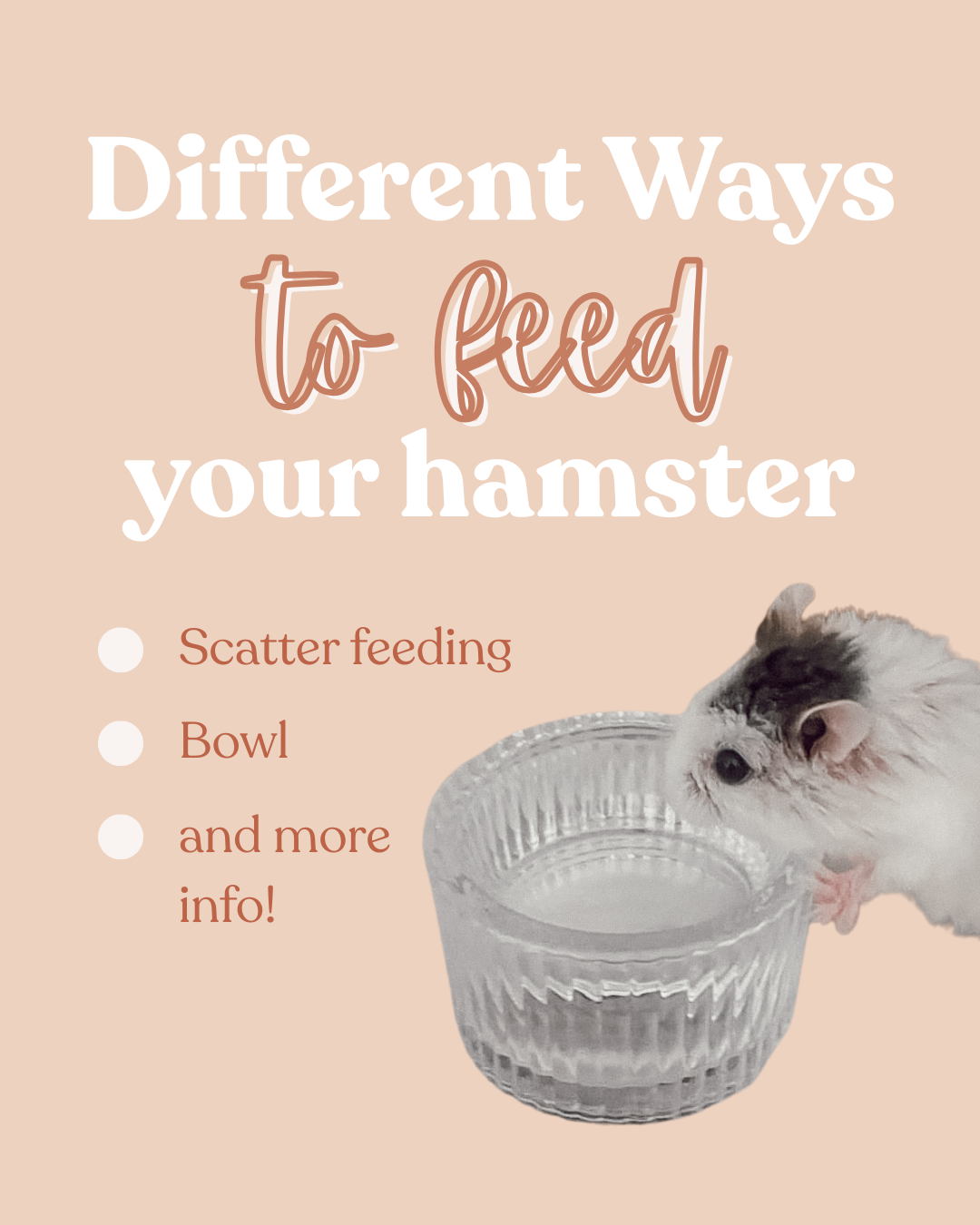 Different Ways to Feed