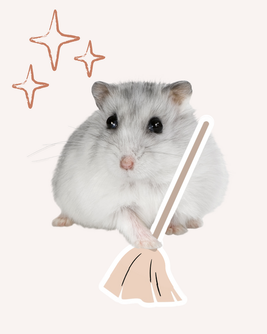 Is Your Hamster An Interior Designer?