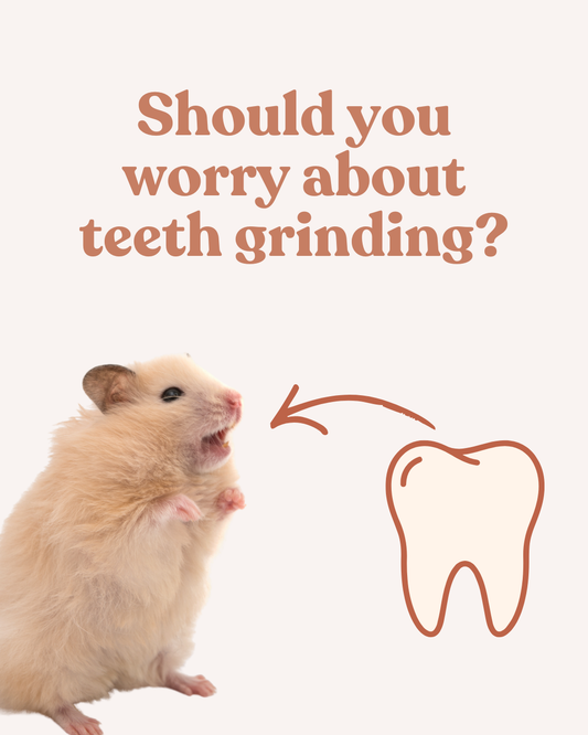 Teeth bruxing