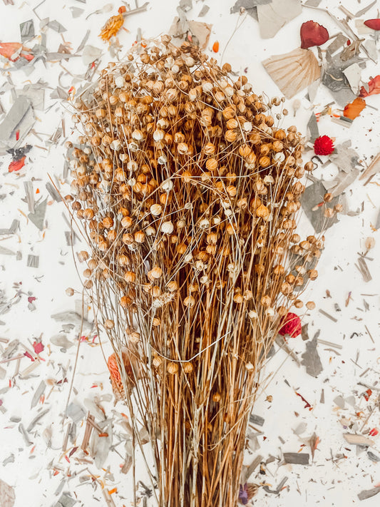 Large Bundle of Flax Sprays (125g)