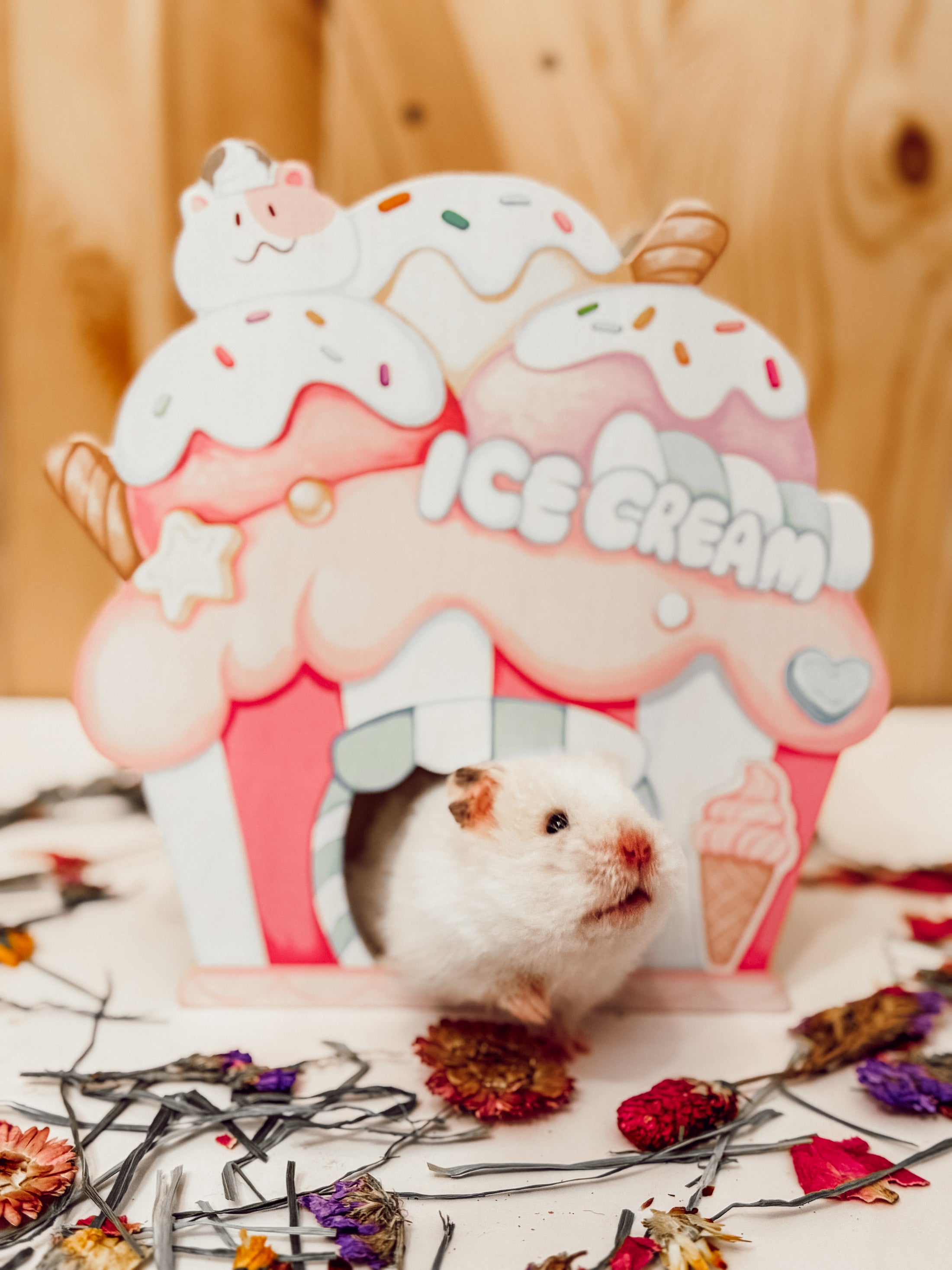 Ice Cream Stand Hideaway