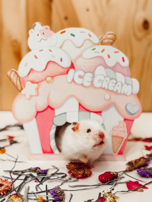 Ice Cream Stand Hideaway