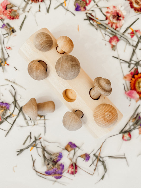 Mushroom Forage Puzzle Toy