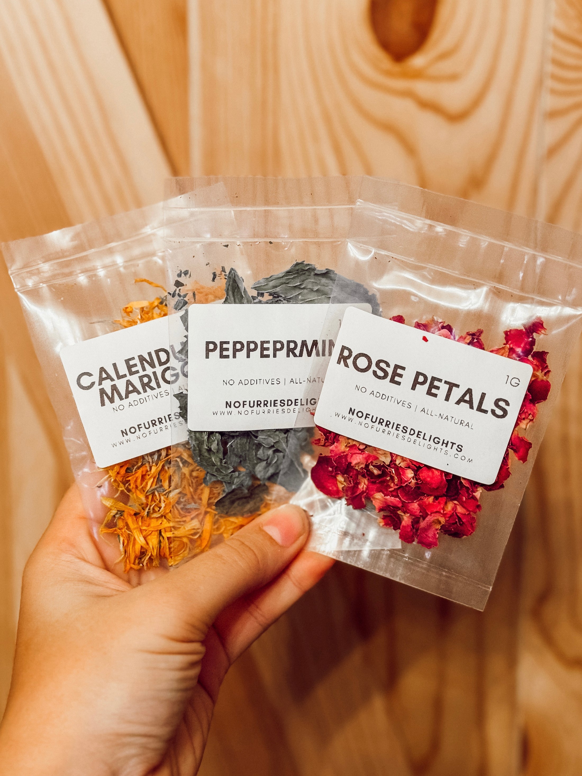 Gingerbread House Kit (safe for pets)