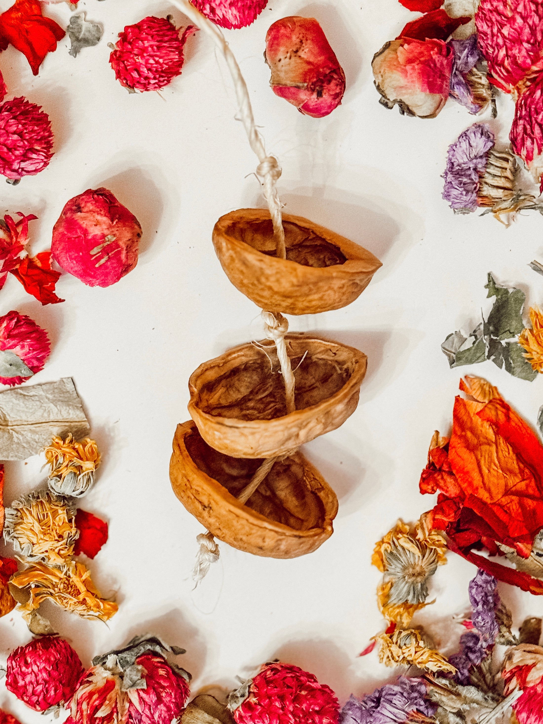 Hanging Walnut Forage Toy