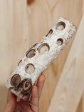 Load image into Gallery viewer, Mushroom Forage Puzzle Toy
