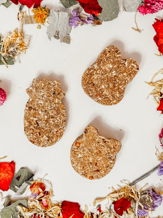 Seedy Treats (3-pack)