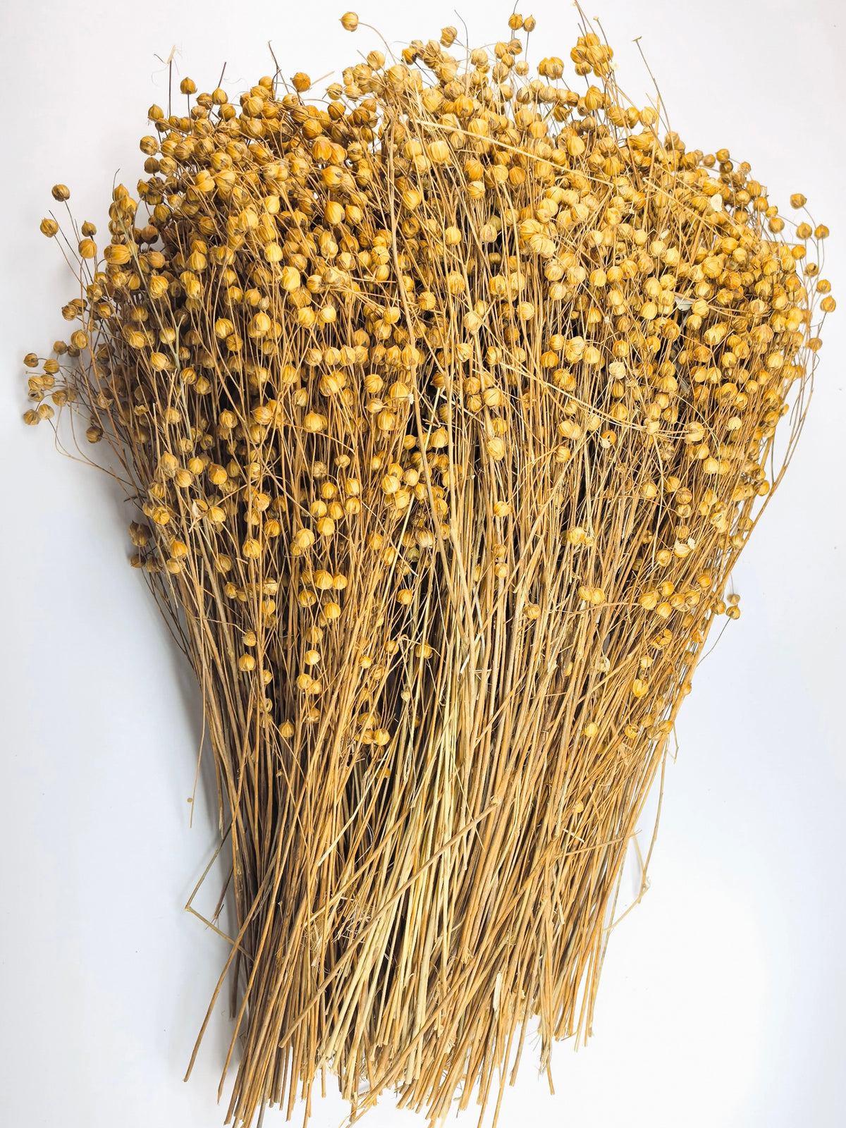 Flax in Bulk (500g)
