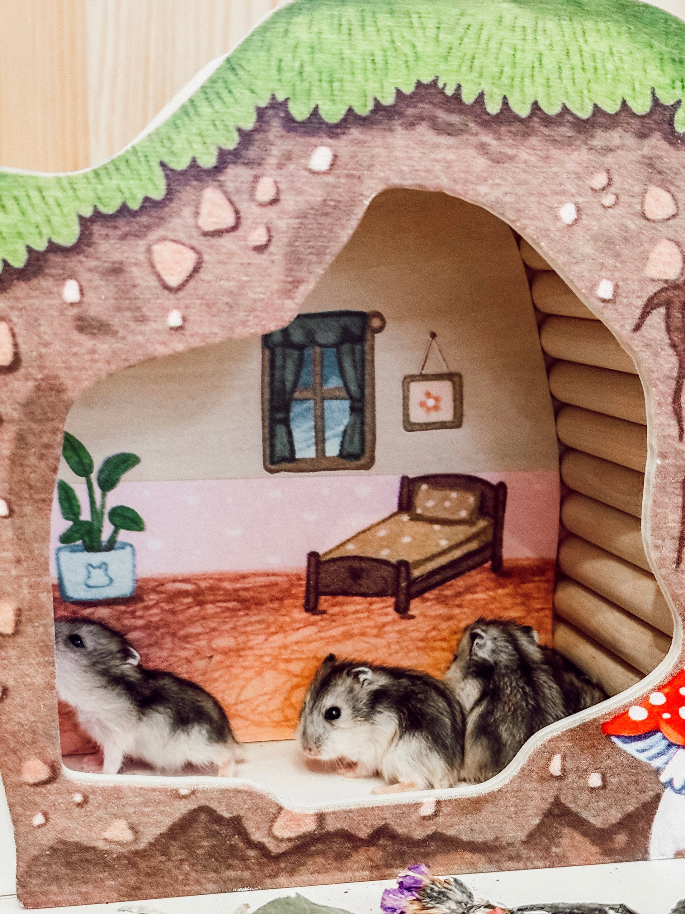 Woodland Fairy Underground Sleep Quarters