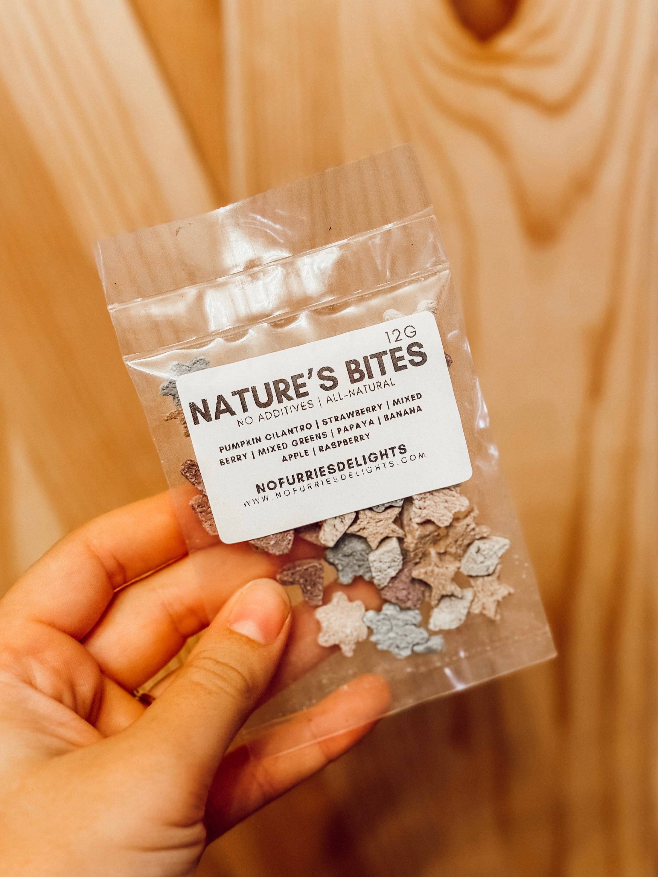 Gingerbread House Kit (safe for pets)