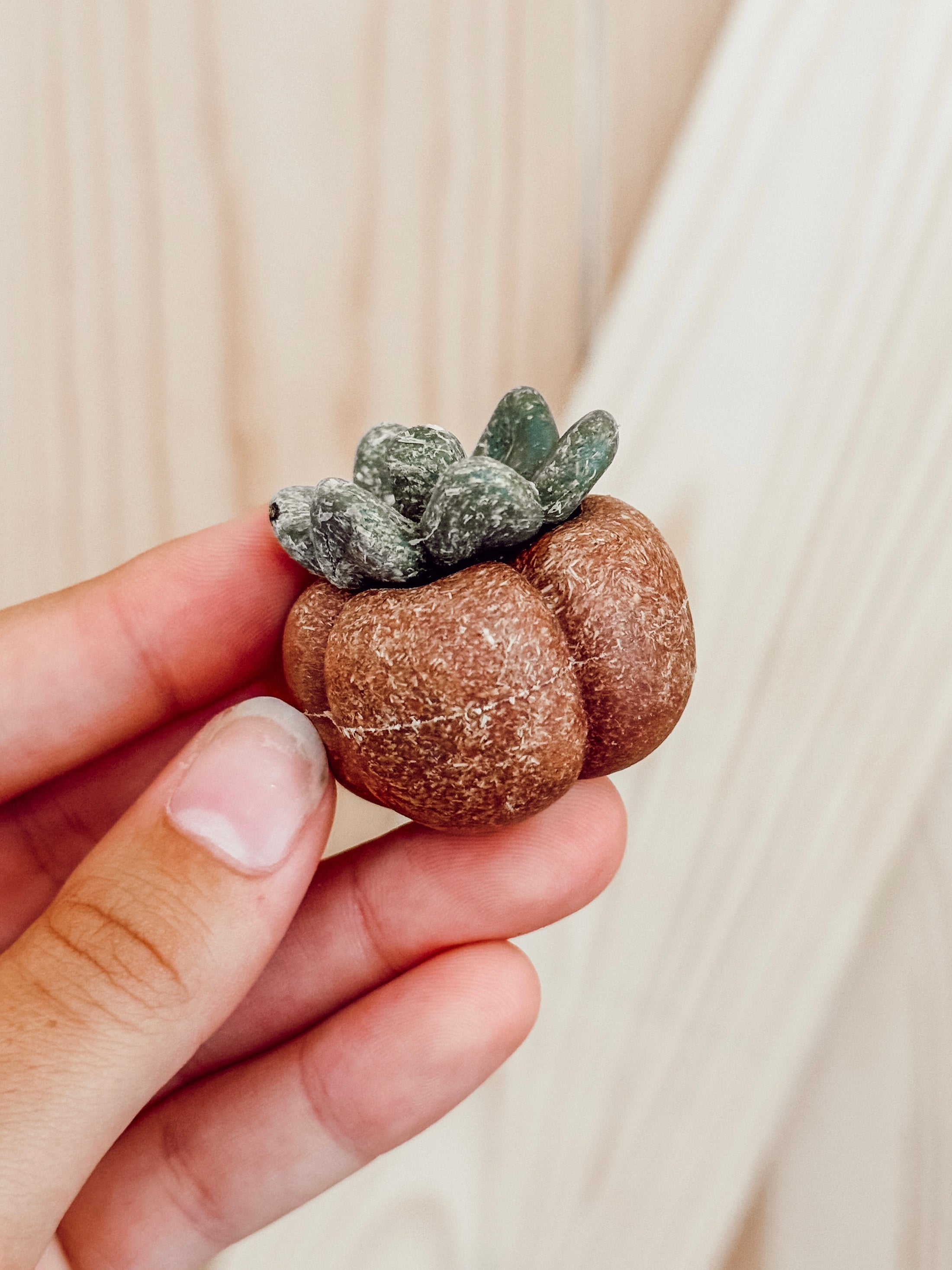Dental Veggie Chews